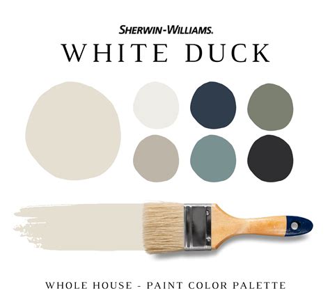 White Duck Color Scheme Variation