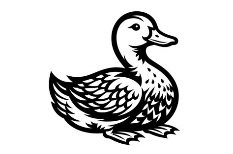 White Duck Graphic Design Branding