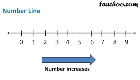 Whole Number Line