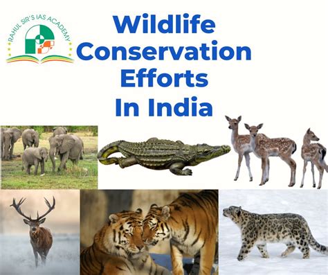 Wildlife conservation