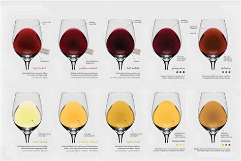 Wine color spectrum