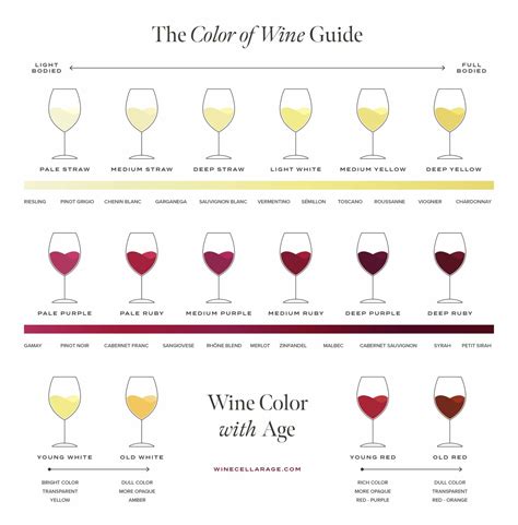 Wine color wheel