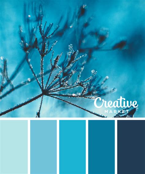 Winter Color Palette Design