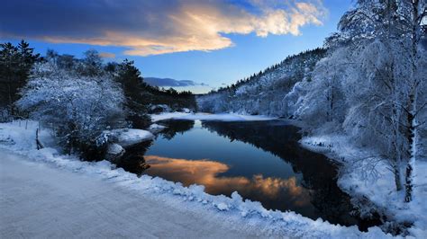 Winter landscape