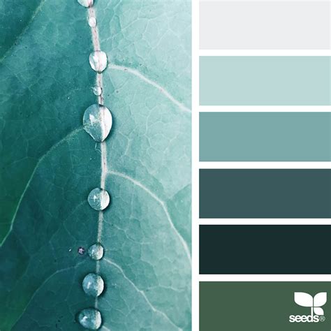 Winter Nature-Inspired Color Palette