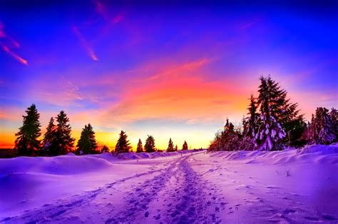 Winter Sunset