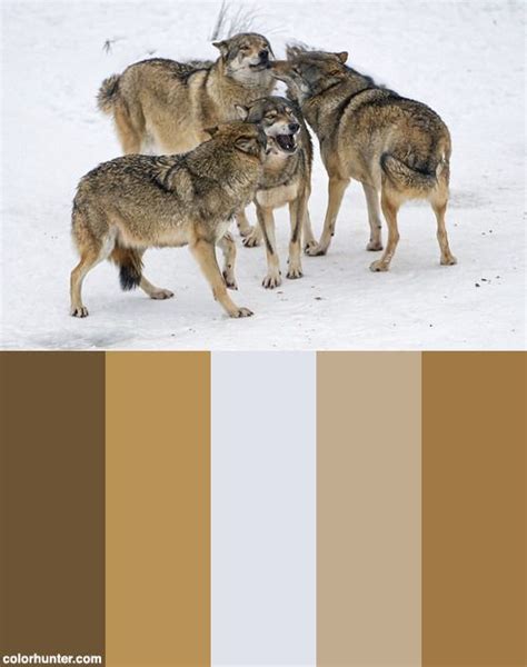 Wolf Color Palette in Art