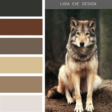 Wolf Color Palette in Fashion