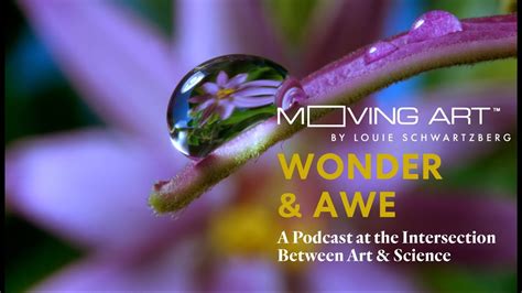 Cultivating Wonder and Awe