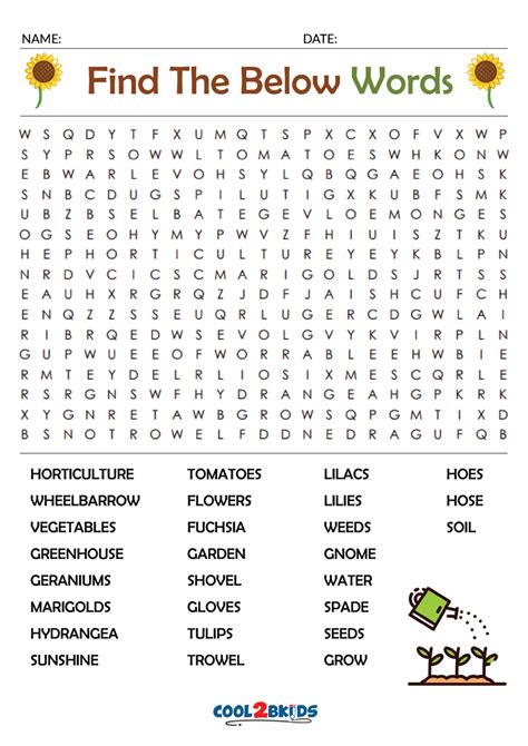 Word Find Puzzle for Adults