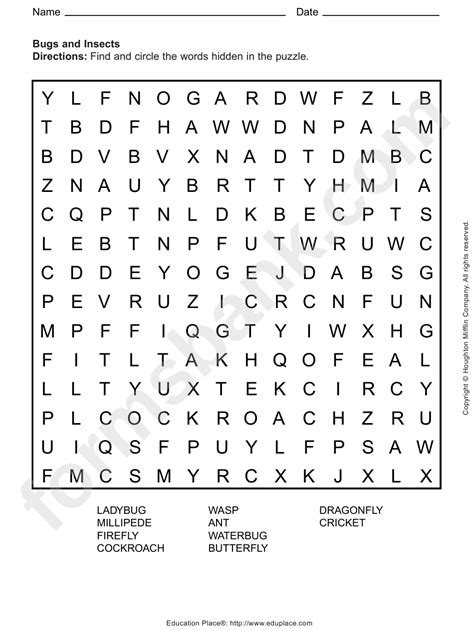 Word Find Puzzle Template