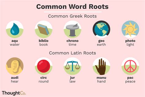 Word roots example