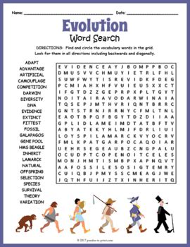 Word Search Puzzle Evolution