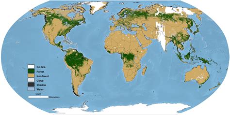 World map with forests