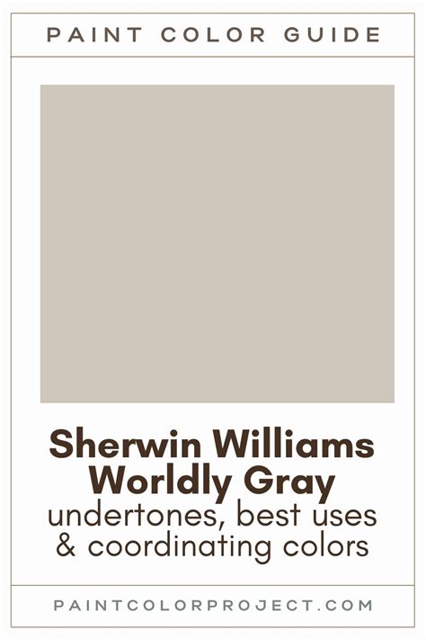 Worldly Gray Color Palette