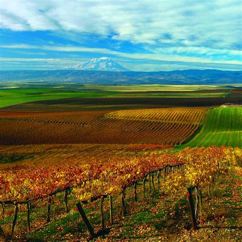 Yakima Valley