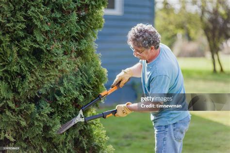 Yard Work