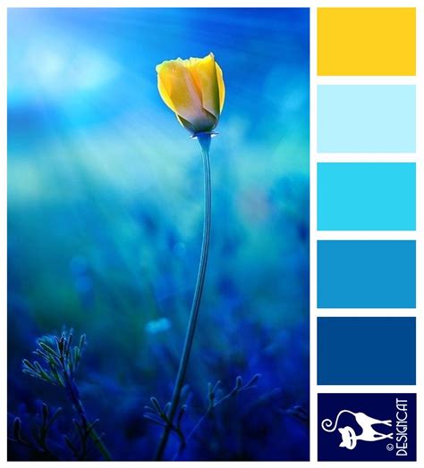 Yellow Blue Inspiration 1