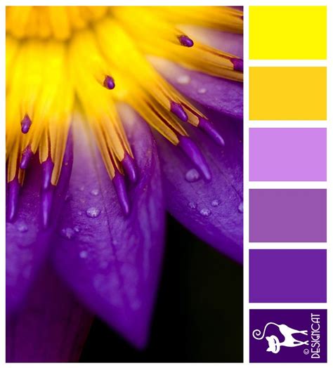 Yellow and Purple Color Inspiration