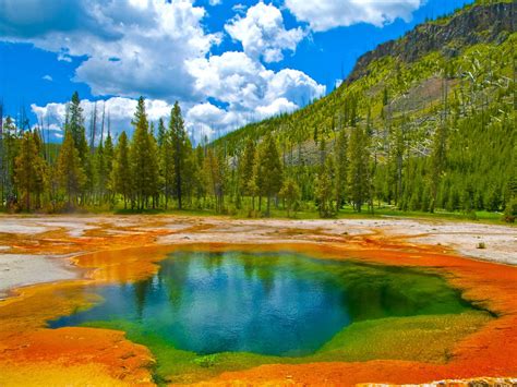 Yellowstone National Park