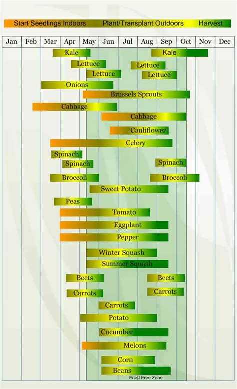 Zone 6 Gardening Advice