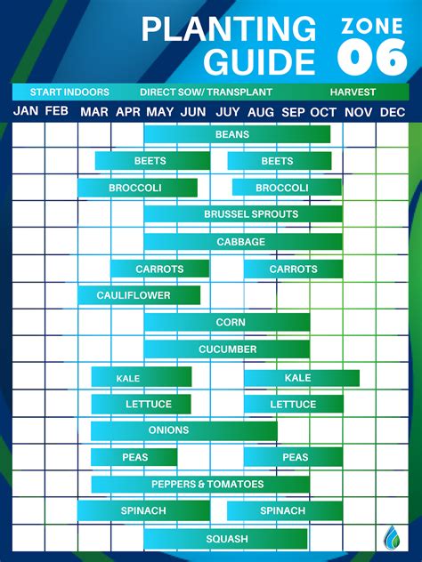 Zone 6 Gardening Calendar