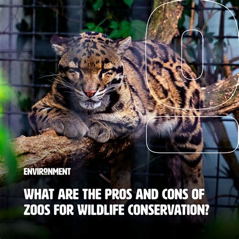 Zoo conservation