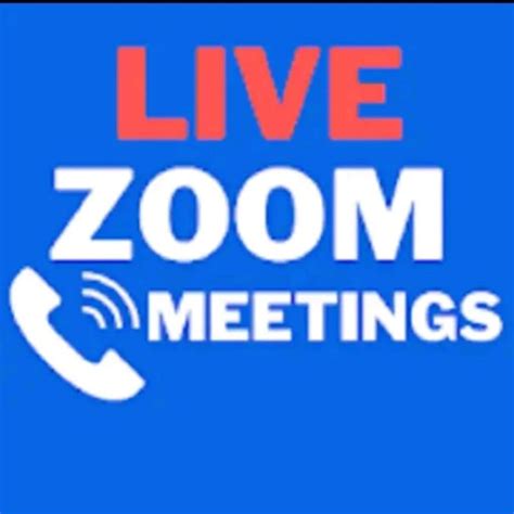 Zoom Online Meeting Guide